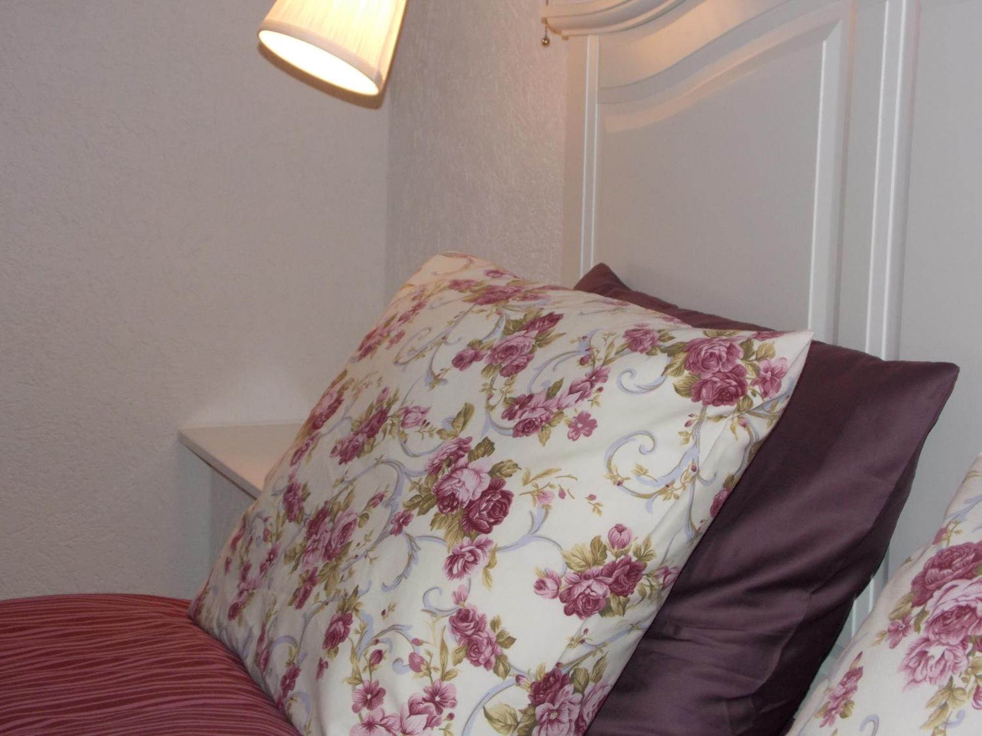 Guest house Stari Tisler